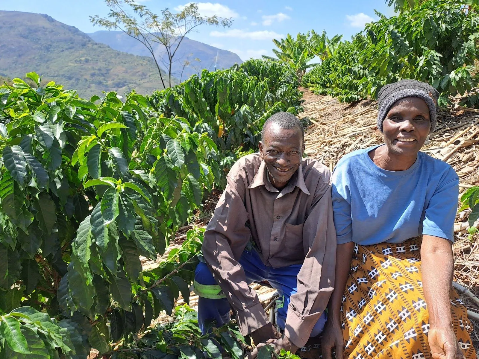 Essence of Agritourism in Zimbabwe